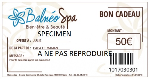 Chèque cadeau pour massage ayurvédique duo au centre de massages Zen Ouest,  Nantes (44)